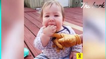 Challenge Try Not to Laugh with Most Funny Baby Video | Funniest Babies