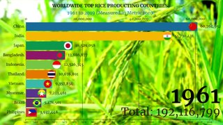 World Largest Rice Production country Top 10 Rice Producing Countries (1961 to 2019)