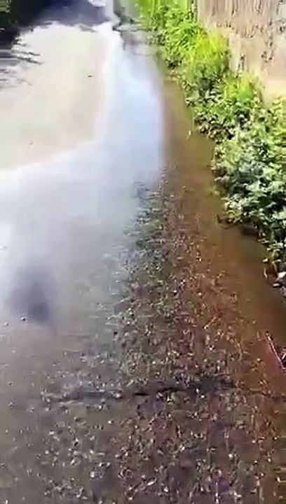 Reggio Calabria: le immagini dell'enorme perdita d'acqua a Spirito Santo