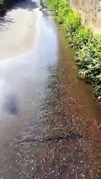 Reggio Calabria: le immagini dell'enorme perdita d'acqua a Spirito Santo