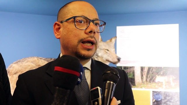 Reggio Calabria, l'intervista al presidente del Parco dell'Apromonte Giuseppe Bombino