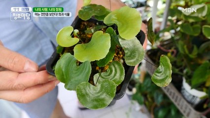 아는 것만큼 보인다! 희귀식물