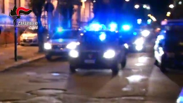 Reggio Calabria, Operazione Free Wildlife: Carabinieri smantellano organizzazione dedita al traffico di specie animali protette