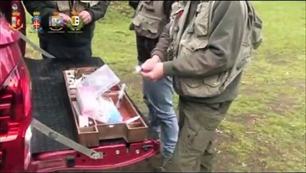 Reggio Calabria: le operazioni delle forze dell'ordine contro le vacche sacre