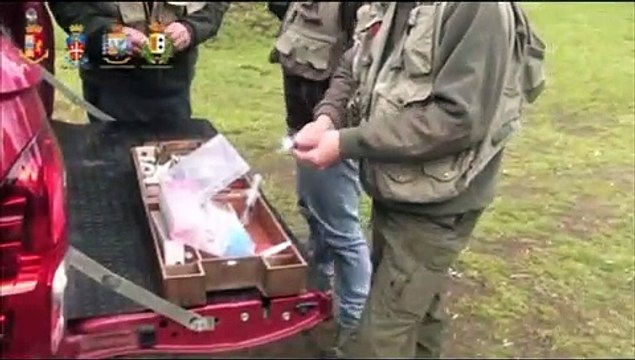 Reggio Calabria: le operazioni delle forze dell'ordine contro le vacche sacre