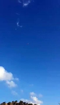 Reggio Calabria, cicogne sorvolano Catona: le immagini