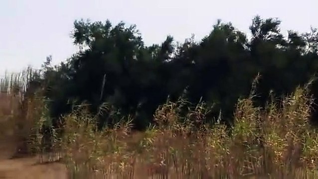 Isole Eolie, inaugurato il nuovo sistema acustico di allerta-tsunami con le sirene