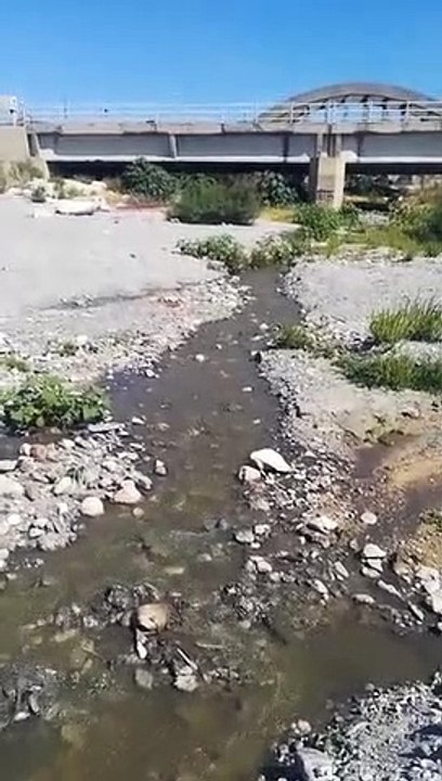 Le immagini della fogna che sgorga in mare nel reggino