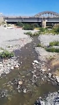 Le immagini della fogna che sgorga in mare nel reggino