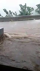 Maltempo Tropea, le strade della "Perla del Tirreno" trasformate in fiumi in piena