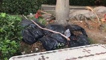 Reggio Calabria: cumuli di rifiuti in Via Marina