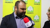 Reggio Calabria: inaugurata una nuova sede Coldiretti, intervista al Presidente provinciale Stefano Bivone