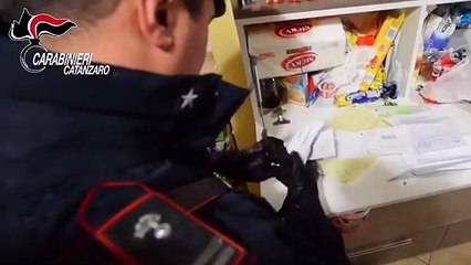 'Ndrangheta, operazione "Reventinum": 12 arresti e perquisizioni