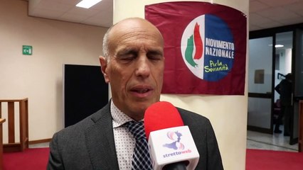 Il patrimonio arboreo di Reggio Calabria: intervista a Ernesto Siclari, coordinatore provinciale MNS