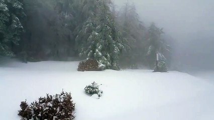 Meraviglioso paesaggio a Montalto d'Aspromonte (RC) tra neve e nebbia