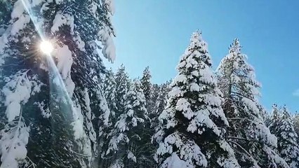 Lo straordinario spettacolo della neve in Sila