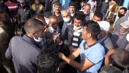 Vatandaşlarla besiciler arasında sıkı 'kurbanlık pazarlığı' - KARS