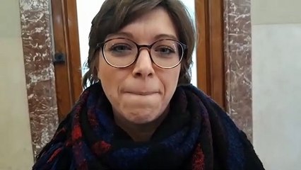 Ponte sullo Stretto: l'intervista alla deputata M5S Angela Raffa