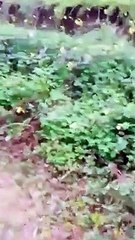 Reggio Calabria, le immagini della frana a Santâ€™Anna di Seminara