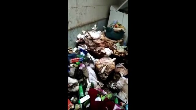 Calabria: bimba di 11 anni costretta a vivere nel degrado piÃ¹ assoluto, le immagini