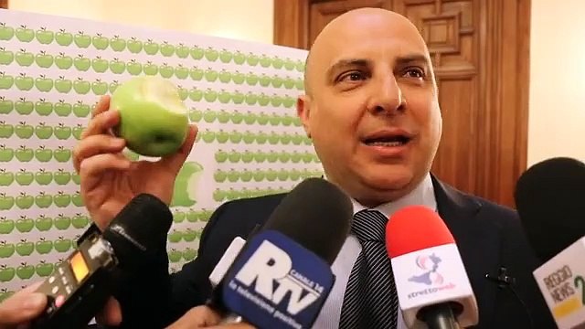 Reggio Calabria, Ripepi: FalcomatÃ dice tante bugie alla cittÃ