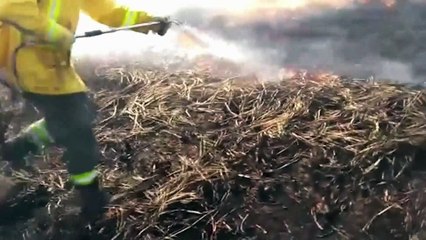 Incendios en el Delta del Paraná, los fuegos que indignan a Argentina