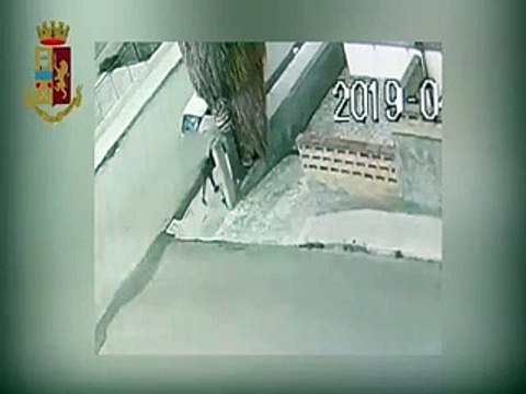 Patti (Messina): piromane dÃ fuoco ad un albero, le immagini