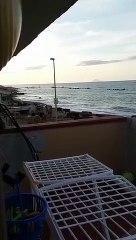 Messina, mucche al pascolo in spiaggia: le immagini