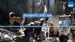 Béarn : une cinquantaine de chiens affamés et malades découverts dans une propriété