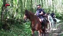Serra San Bruno: carabinieri a cavallo per intensificare il controllo nel territorio delle serre, le immagini