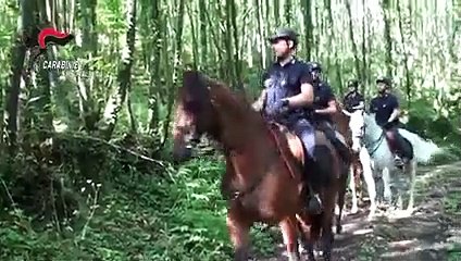 Serra San Bruno: carabinieri a cavallo per intensificare il controllo nel territorio delle serre, le immagini