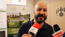 Torna il â€œParkbusâ€: dal Museo di Reggio Calabria in Aspromonte con le Guide del Parco, intervista a Carmelo Malacrino