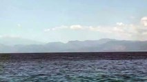 Reggio Calabria: delfini creano giochi d'acqua a largo di Pellaro