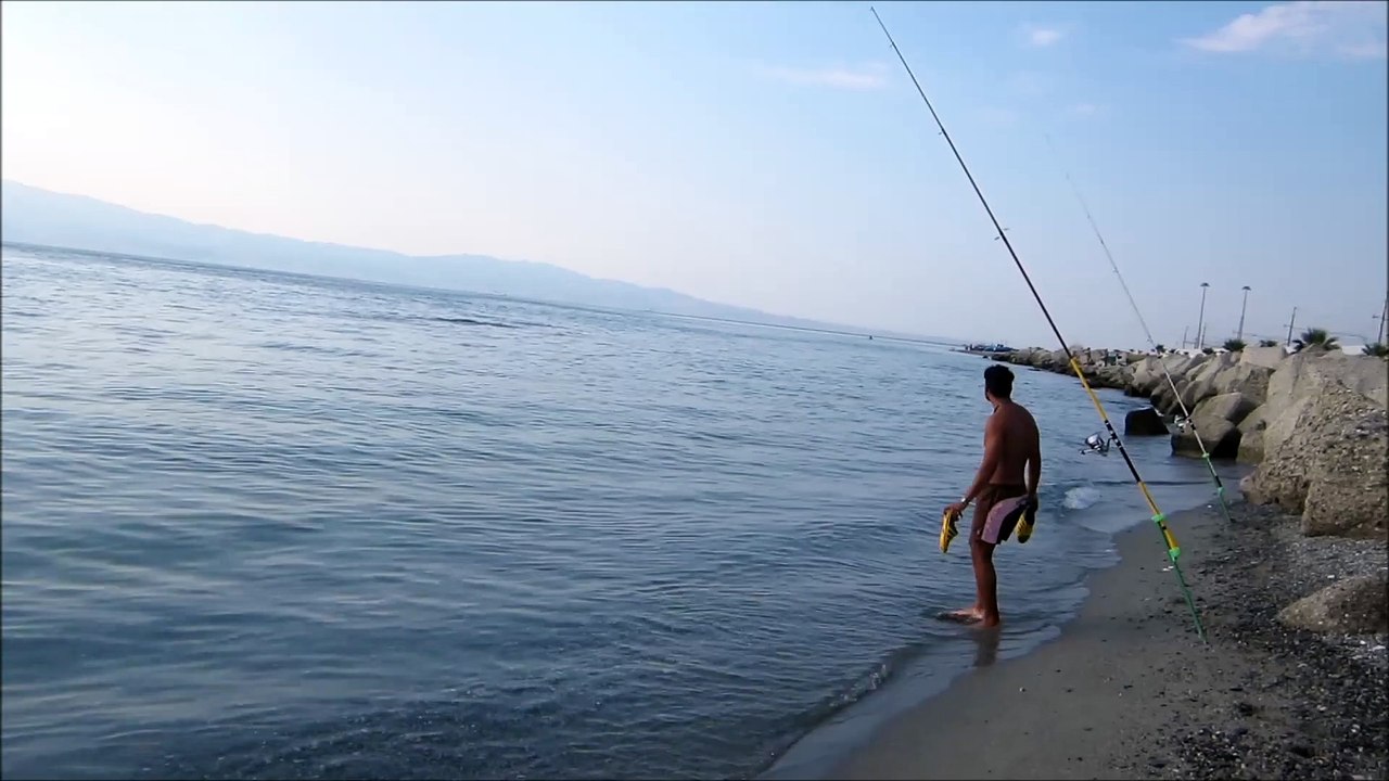 Reggio Calabria: le immagini dei delfini che giocano a largo di Calamizzi