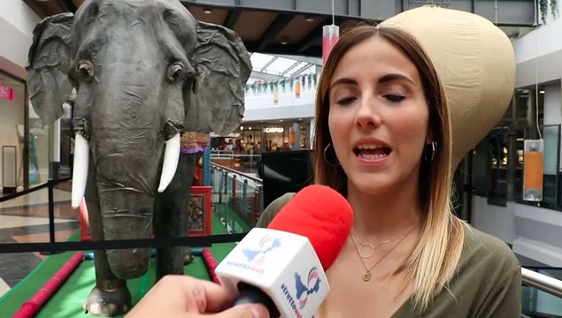 Jules Verne a Porto Bolaro, una mostra interattiva con la realtÃ virtuale: Claudia Iezzi ai microfoni di StrettoWeb