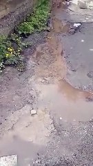 Reggio Calabria: buche enormi in via Vico Bolani, le immagini