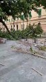 Messina: cade albero a Piazza Cavallotti, tram bloccato