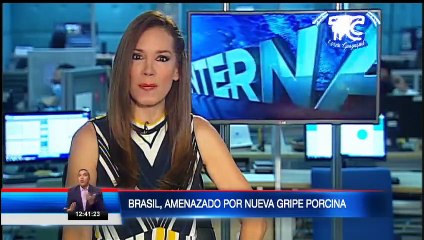 Alerta por una nueva gripe porcina en Brasil