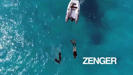 People dive without cages alongside sharks