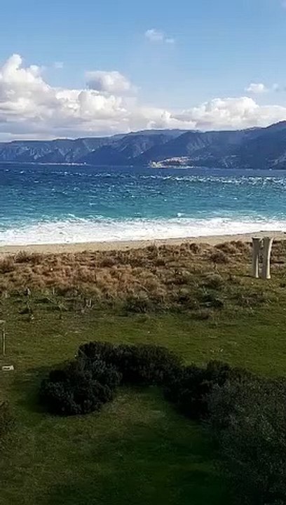Orche nello Stretto di Messina: nuovo avvistamento tra Capo Peloro e Scilla, le immagini