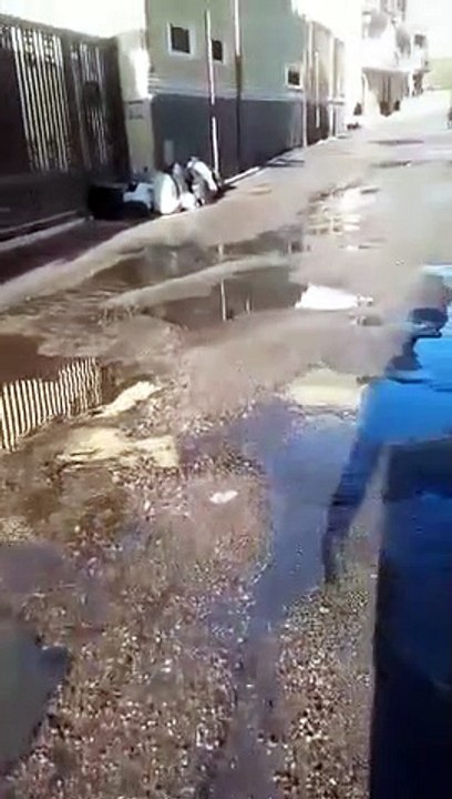 Reggio Calabria: degrado ed incuria in via Abate S.Elia, le immagini