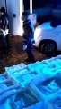 Sequestrati oltre 1000 kg di novellame di sarda a Villa San Giovanni: le immagini del sequestro