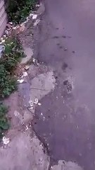 Reggio Calabria, le condizioni di abbandono di via Trabocchetto I