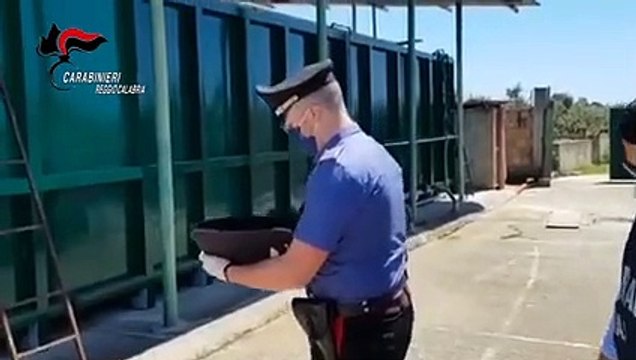 Reggio Calabria: sequestro di un canile sito in Contrada Gabelle del Comune di Santâ€™Ilario dello Jonio