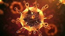 Il Coronavirus raccontato dai Calabresi: i migliori audio che spopolano su Whatsapp