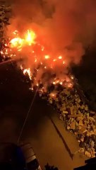 Télécharger la video: Reggio Calabria, le immagini dell'enorme incendio di rifiuti al Rione Marconi