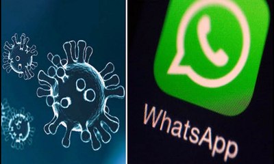 Coronavirus, i calabresi si pongono qualche domanda sulla trasmissione del Covit 19