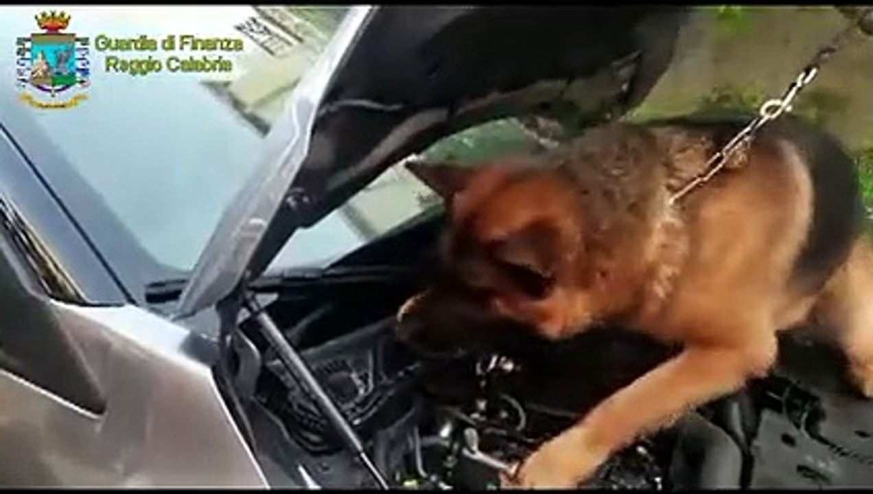 Reggio Calabria, operazione "Cargo bianco": arrestato 51enne intento a trasportare cocaina in Sicilia