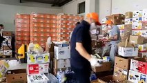 Reggio Calabria: la storia di Yankuba, al Banco Alimentare per aiutare i bisognosi