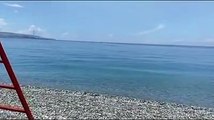 Reggio Calabria: delfini giocano tra le onde del mare di Scilla